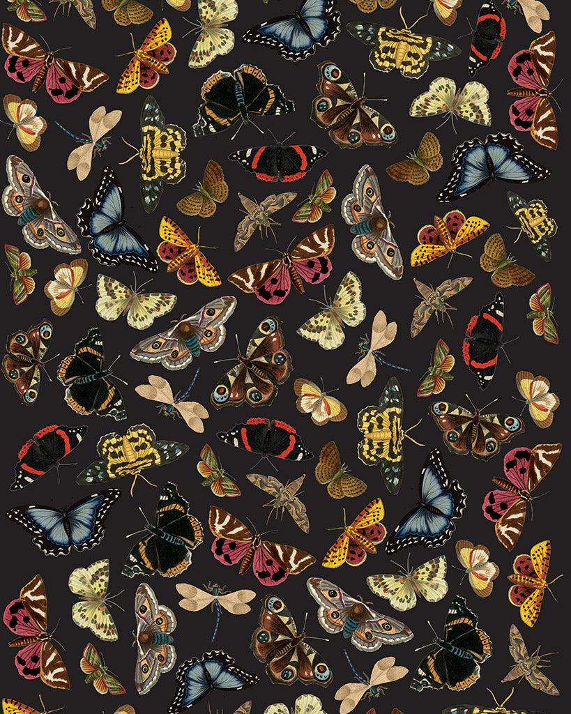 Fjärils decopage  - RHS Decoupage Paper Winged Wildlife