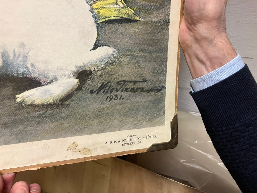 Skolaffisch kaniner av Nils Tirén