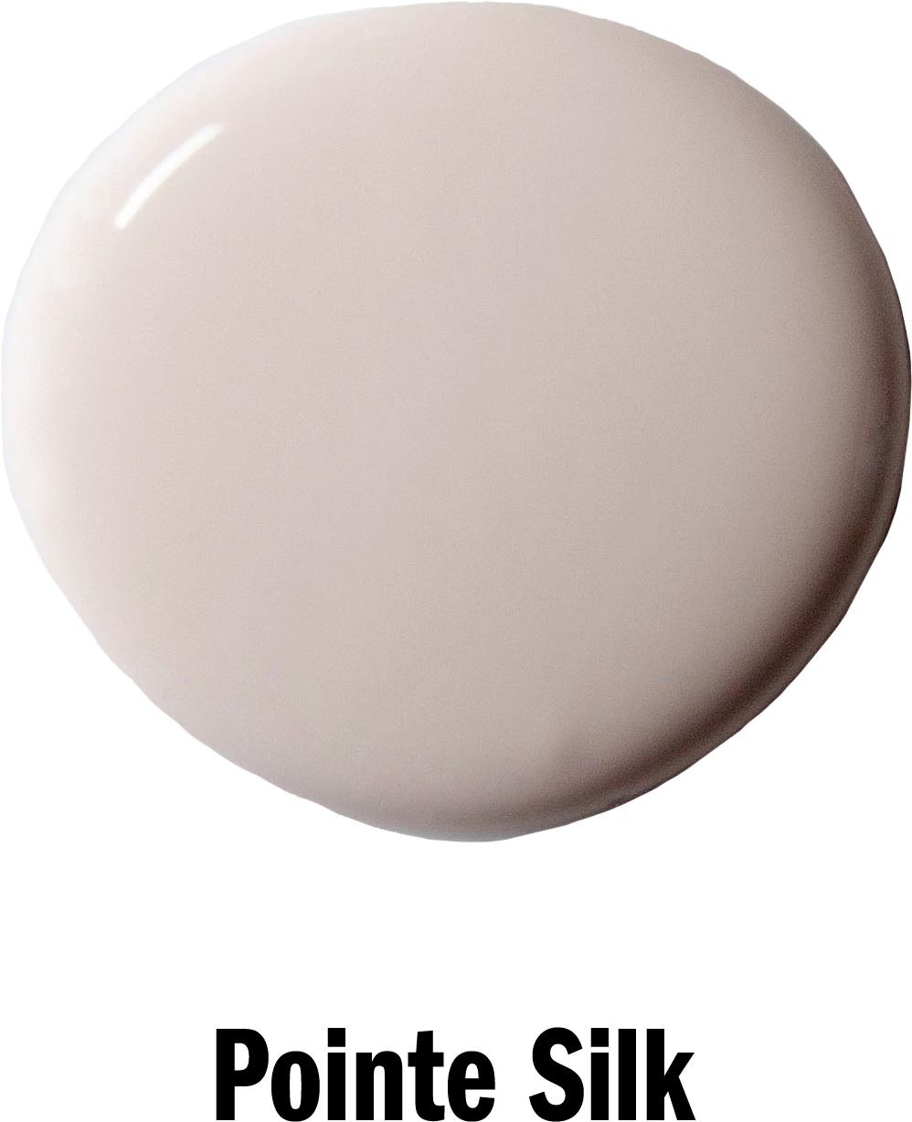 Pointe Silk Wall Paint