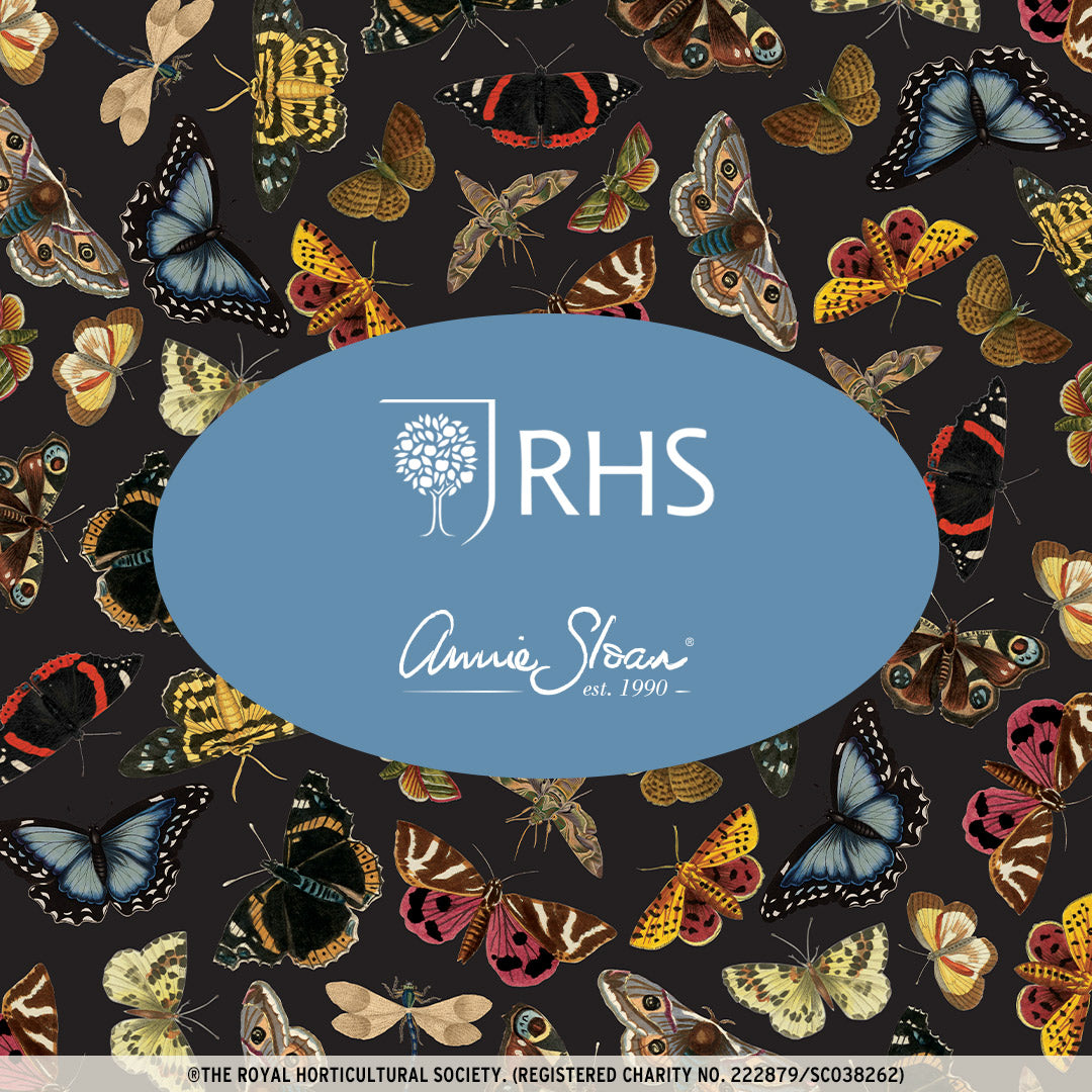 Fjärils decopage  - RHS Decoupage Paper Winged Wildlife